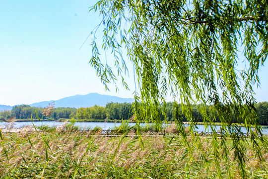 北京野鸭湖湿地自然保护区