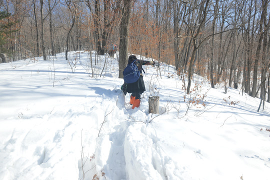 登山冬季雪景大山