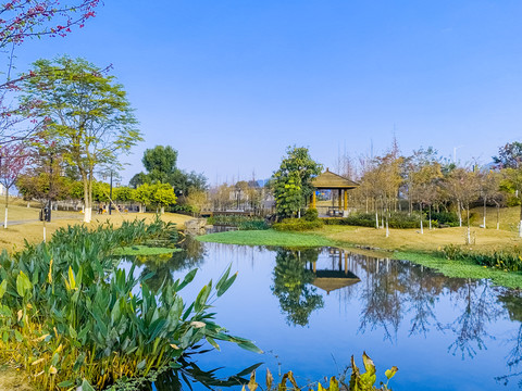 广西蒙山湿地公园