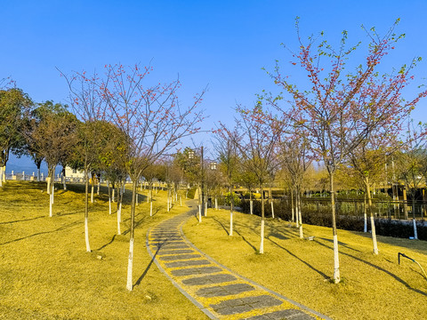 广西蒙山湿地公园