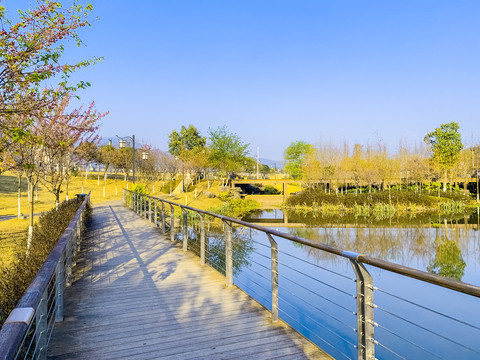 广西蒙山湿地公园