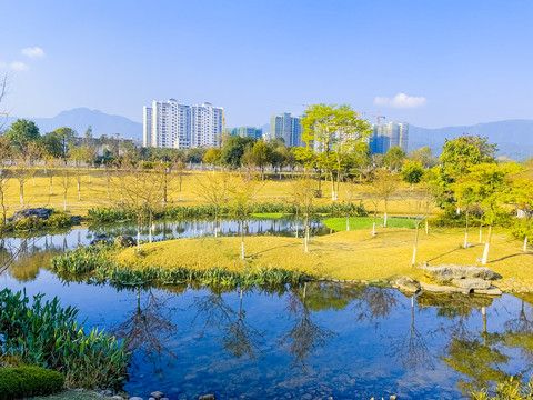 广西蒙山湿地公园