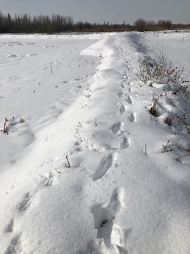 冬雪脚印