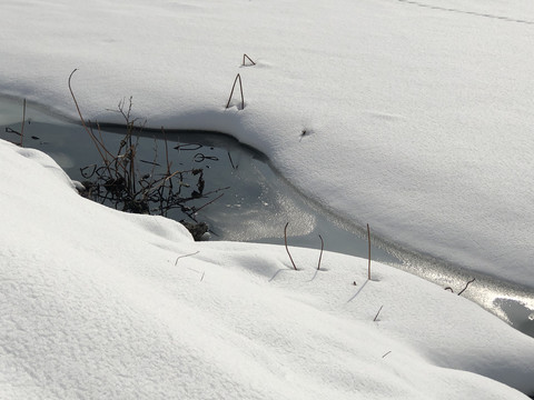 雪地池水