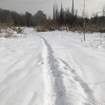 雪地小道