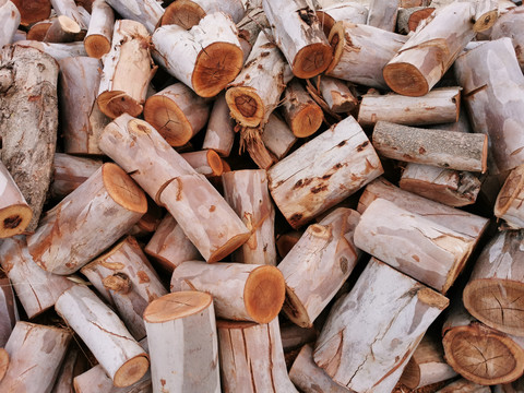 柴堆木料木柴