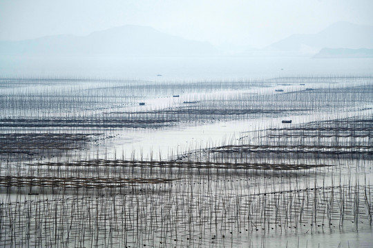 福建霞浦