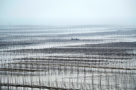 福建霞浦