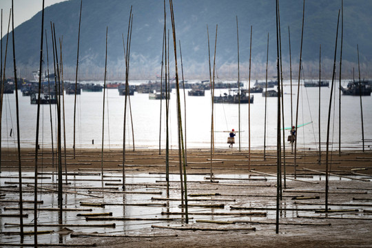 福建霞浦