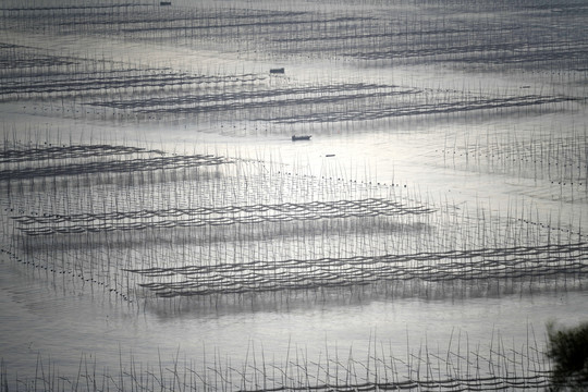 福建霞浦