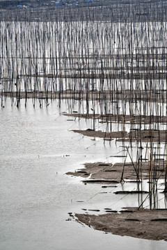 福建霞浦