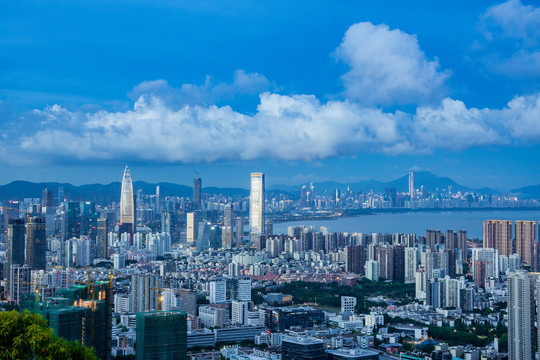 深圳湾夜景