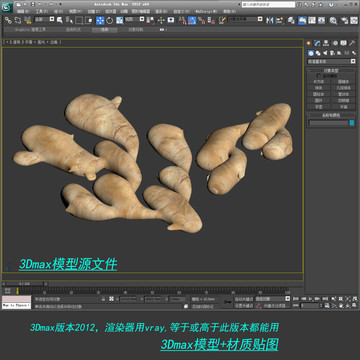 生姜3D模型3dmax
