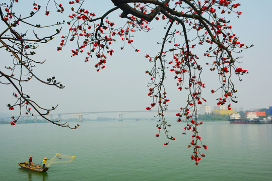 西江风景