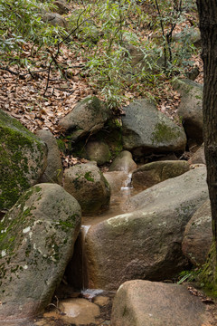 山林泉水