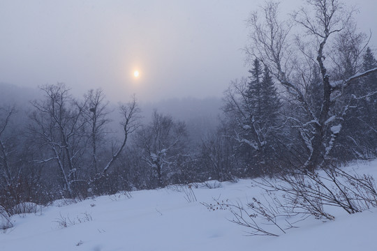 雪中的日落