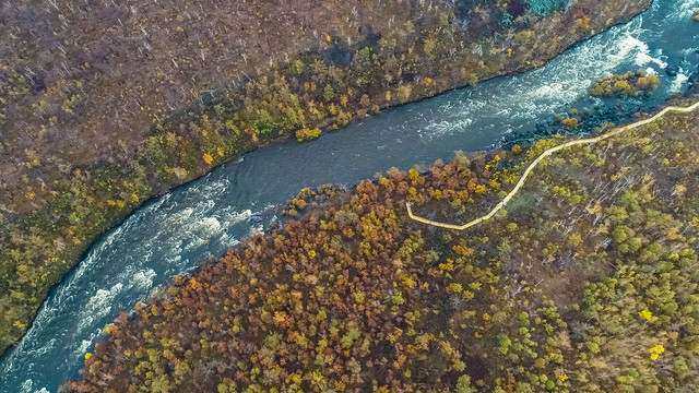 无人机航拍秋季森林河流
