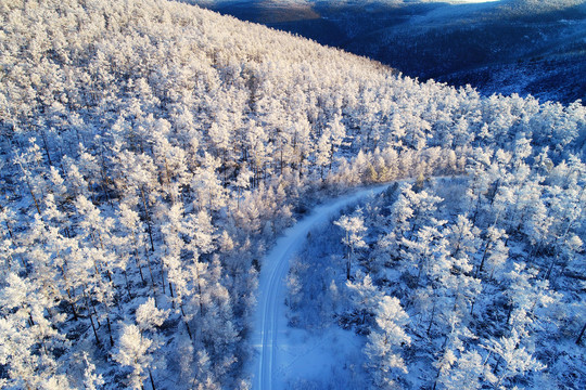 大兴安岭冬季原始森林雪路