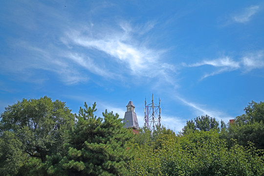 太阳岛上