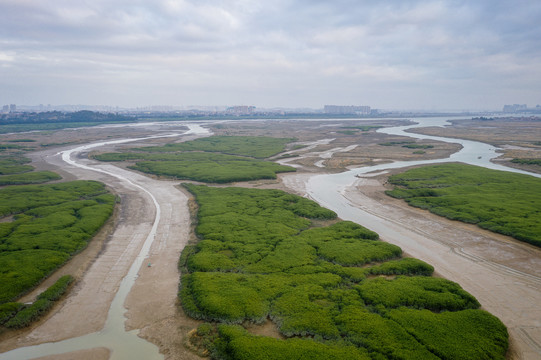 泉州湾河口湿地航拍景观