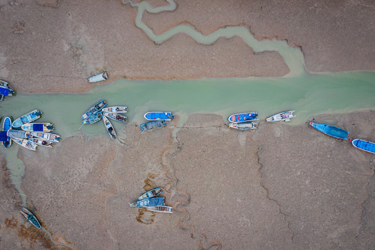 泉州湾河口湿地航拍景观