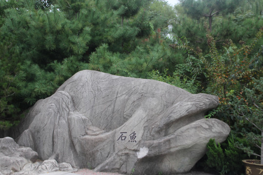 中国西安世博园石鱼石雕