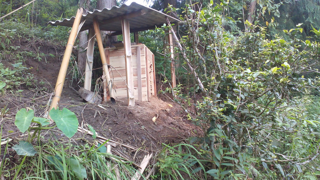 试验基地木箱养殖土蜂