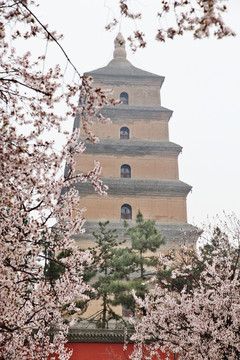 西安大雁塔