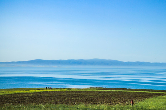 青海湖