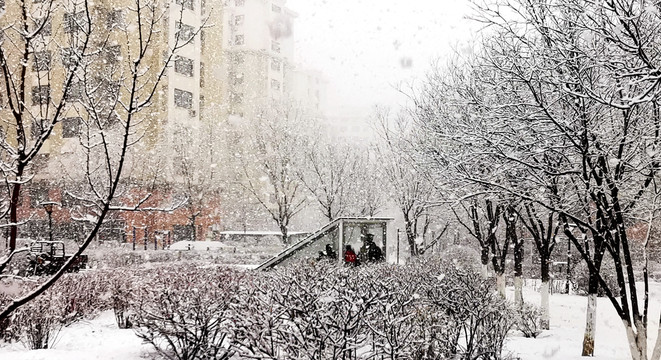 赤峰雪花大如席