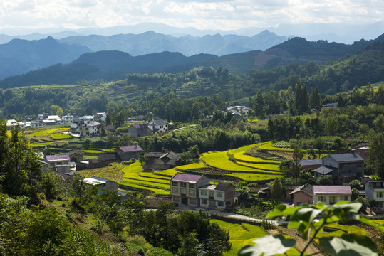 凤堰梯田