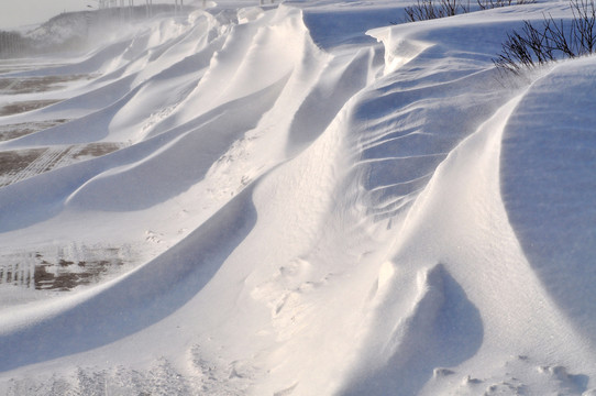 雪地