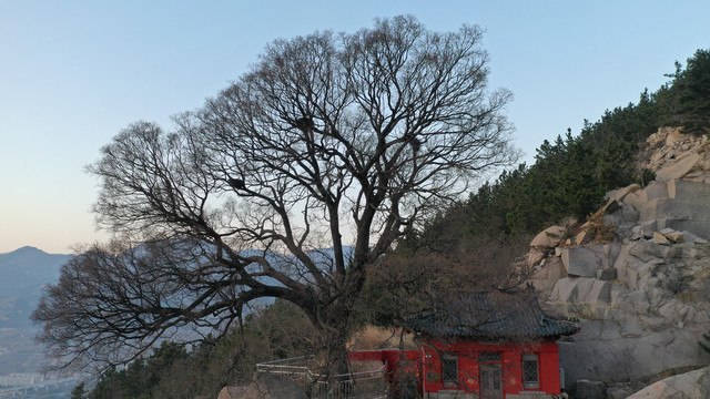 崂山北宅神清宫