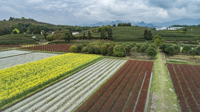 田园风光