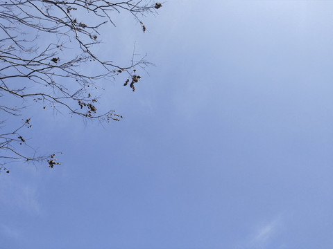 天空