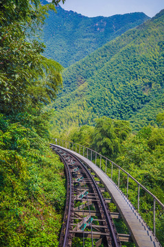 南山竹海轨道