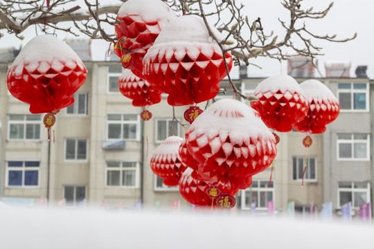 盖着雪被的红灯笼