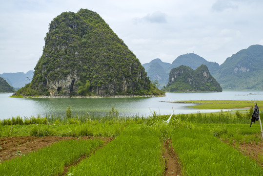 青山绿水