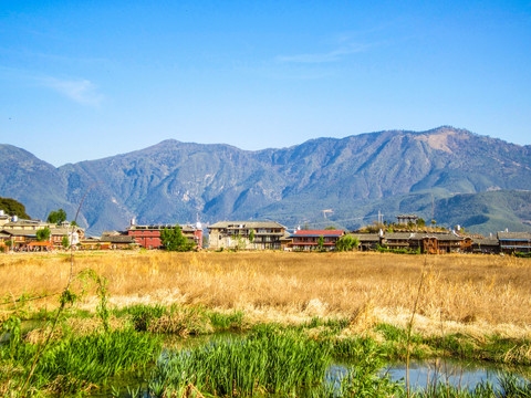 泸沽湖草海