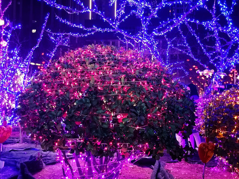 节日植物装饰彩灯