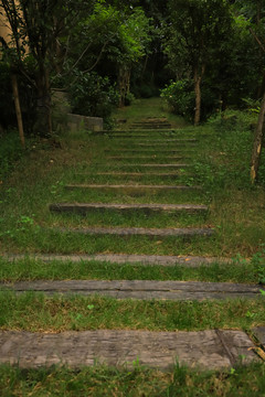 山间小路