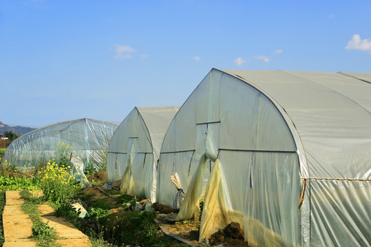 农业种植基地田园风光