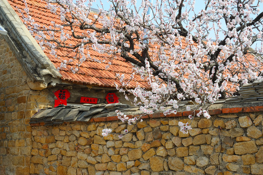 山区农家小院