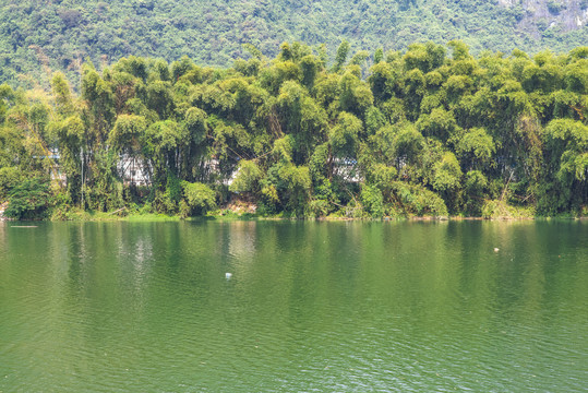 唯美风景