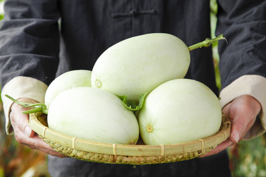 玉菇香瓜