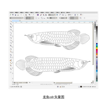 龙鱼cdr矢量图