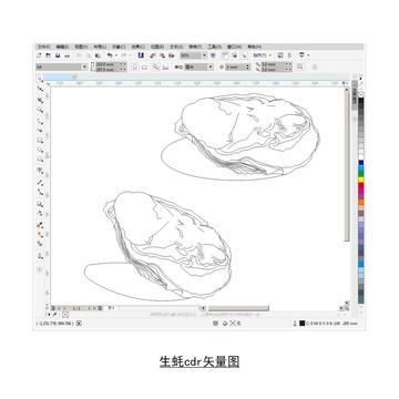 生蚝cdr矢量图