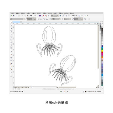 乌贼cdr矢量图