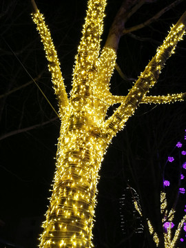 树木装饰彩灯