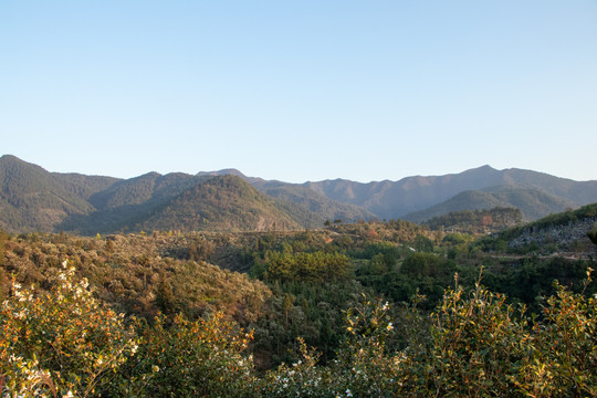 山峰森林风光